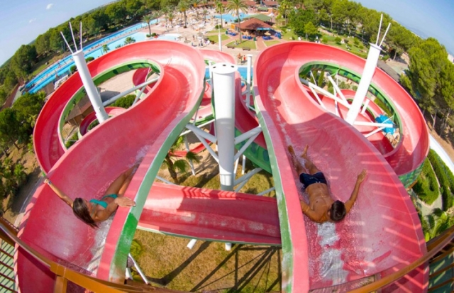 Anaconda